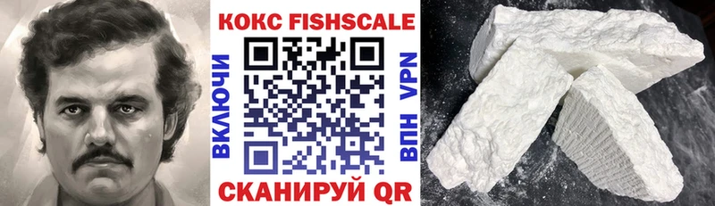 Cocaine Fish Scale  kraken как войти  Судогда  хочу наркоту 