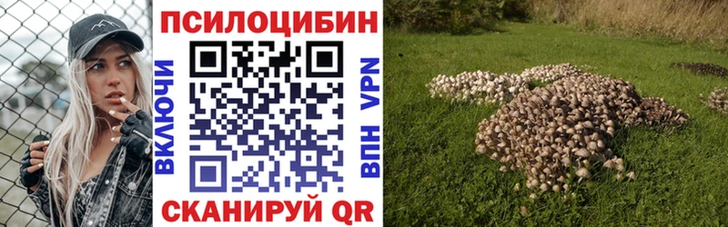 Галлюциногенные грибы MAGIC MUSHROOMS  наркошоп  Судогда 